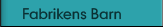 Fabrikens barn